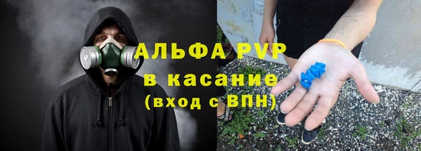 гашик Арсеньев