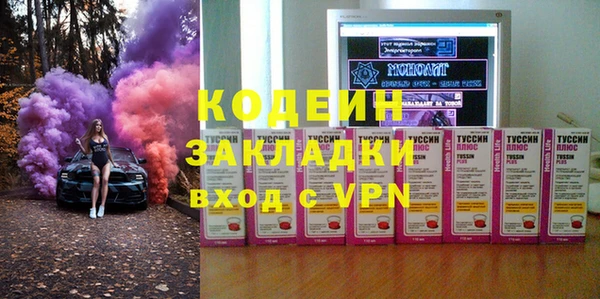 гашик Арсеньев