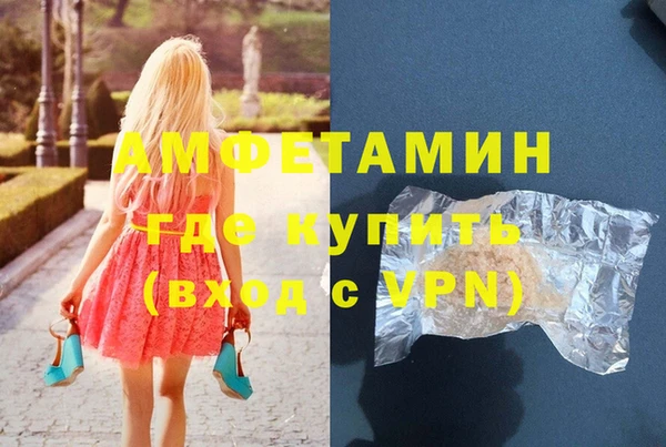 шишки Аркадак