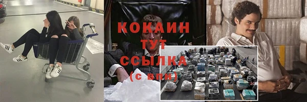 гашик Арсеньев