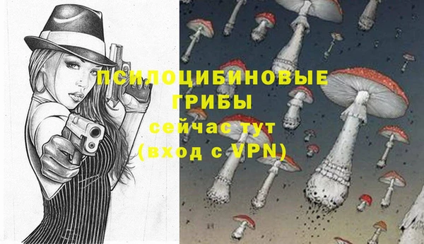 шишки Аркадак