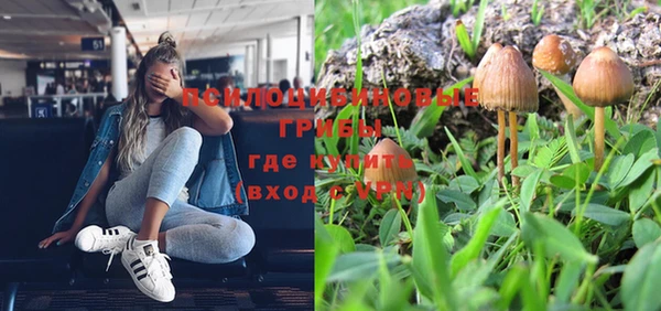 не бодяженный Армянск
