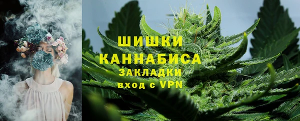 гашик Арсеньев