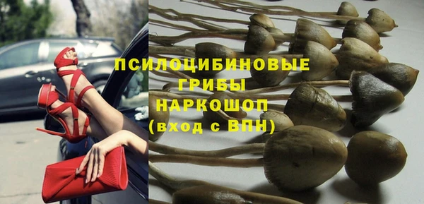 гашик Арсеньев