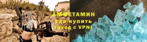 шишки Аркадак