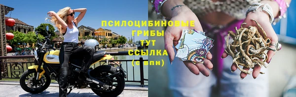 шишки Аркадак