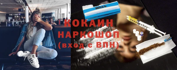 шишки Аркадак