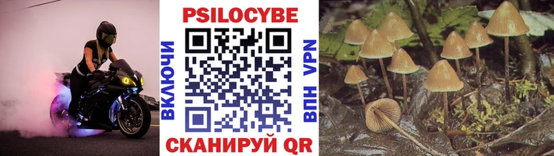 Галлюциногенные грибы Magic Shrooms  Суровикино 